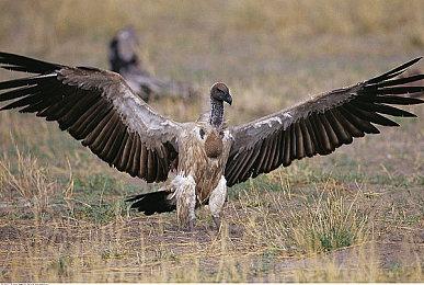 打枪名作《死亡之屋2：重制版》10月24日登陆PS＆Xbox平台